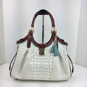 BRAHMINS ELISA IN COCONUT SORAYA